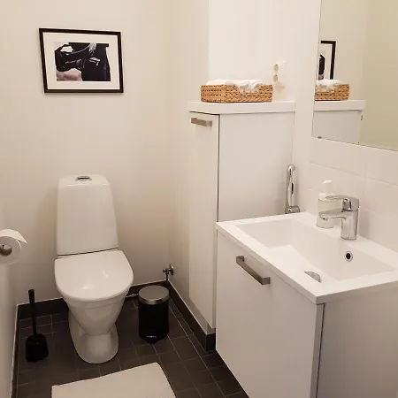 Apartments To Rent In Helsinki 別荘 *